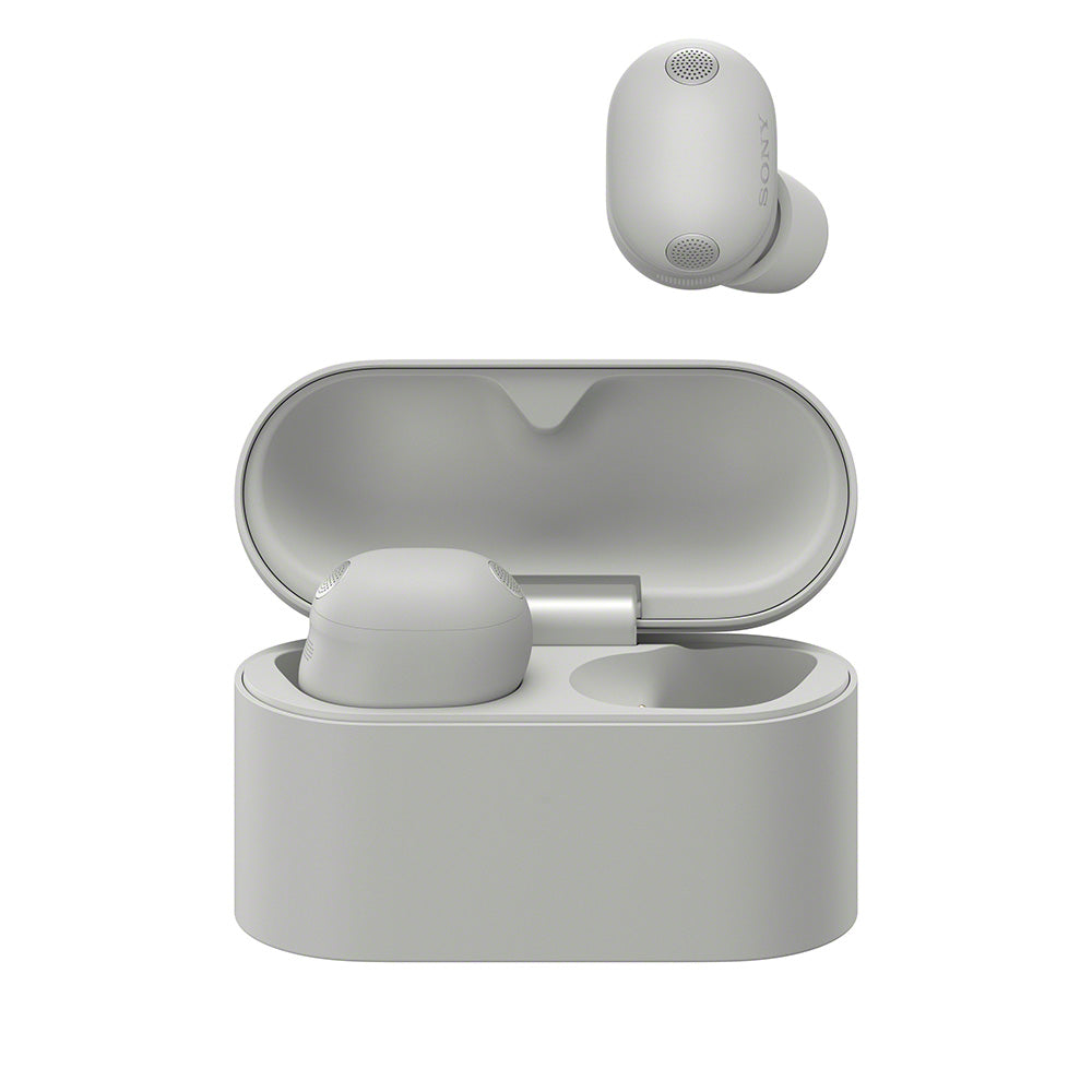 Sony WF-1000XM6/SCE TWS Earphones (Silver)